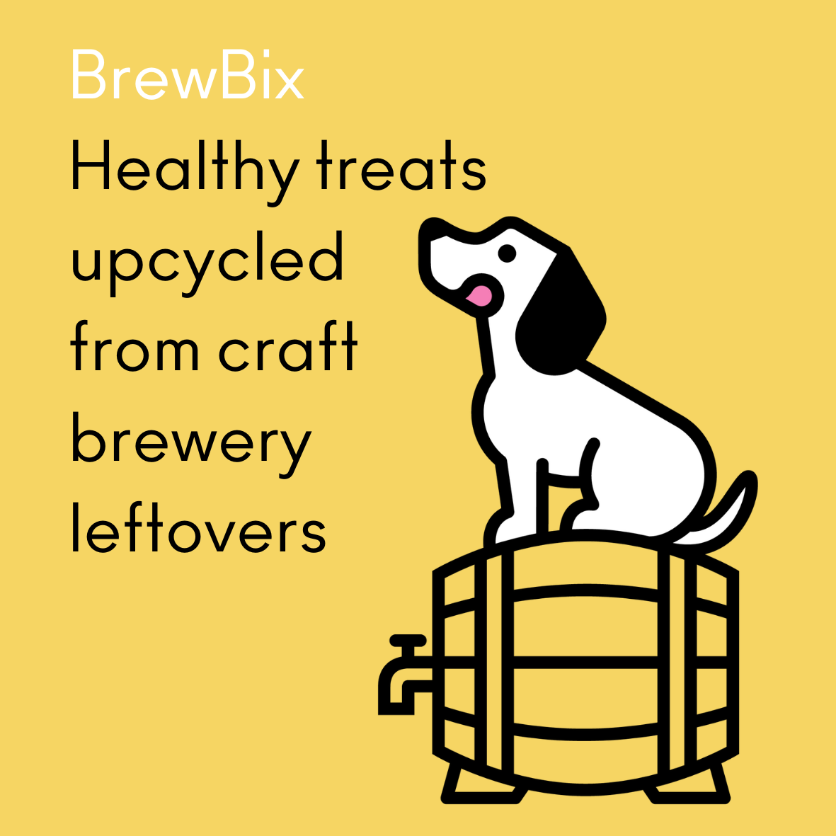 BrewBix Christmas Gift Box 100g Dog Treats