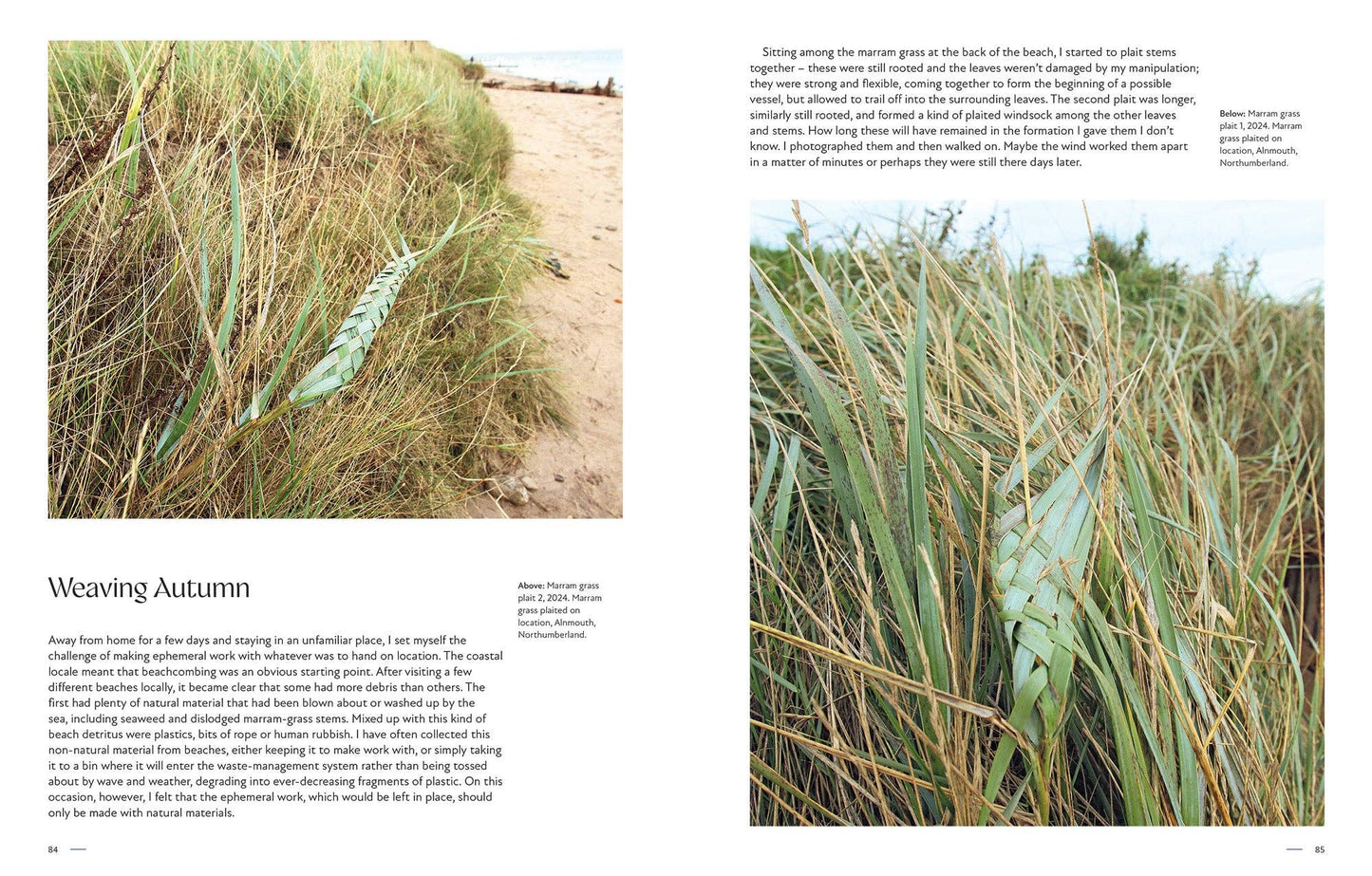 Wild Weave (Hardback)