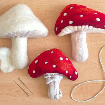 Needle Felt a Decorative Toadstool with Willow - Saturday 23rd November