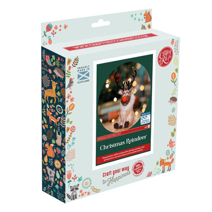 Christmas Reindeer Needle Felting Kit